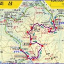 신지도 Daum카페