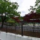 단천초등학교, 단천초교(병설유치원) 이미지