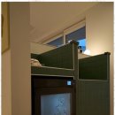 애견의숲 이미지