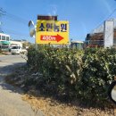 소연농원 - 거창군 진마루길 239-51 | 소연농원