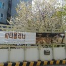 가양부모사랑 이미지
