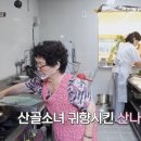 나무그늘식당 이미지