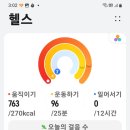 천보약초