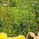 미사랑농장 이미지