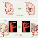 친한의원 이미지