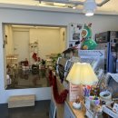 도레도레(Dorer Dorer) 이미지