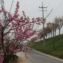 송포배수펌프장 이미지