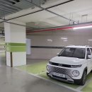 코끼리주유소 | 과천 서울대공원 동물원 코끼리열차 겨울 입장료 후기