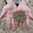 중문빌리지 이미지