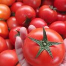 경식 농장 이미지