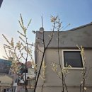 순수치킨 언양점 | [일상] 2월의 어느 날, 환장할 부부의 일상