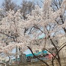 성내5교 네이버블로그