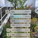 화성카인테리어 | 화성 봉담 대형카페 국순당에서 운영하는 &#39;박봉담&#39; 브런치 후기