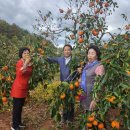 순분농장 이미지