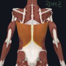 퀸메이커짐 이미지