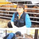 으뜸한우 농장 이미지