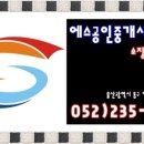 전하동 우체국 Daum카페