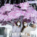 (주)디자인실버피쉬