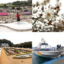 선장대형카 | 거제도 아이랑 갈만한곳 외도 해금강 유람선 거제 섬여행