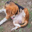 서울앤 동물병원 이미지