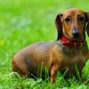 우성동물병원 이미지