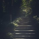 엄마라는이름으로 이미지