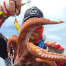 용진 카풀주차장 이미지