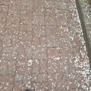 제암리 3.1운동 순국기념관 | 매향리 평화기념관, 화성시 독립운동기념관 답사 *⋆꒰ঌ໒꒱⋆*