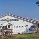 궁평항로 이미지