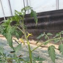 장천외과의원 이미지