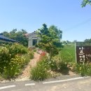 고창시장 입구 이미지