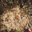 봉선농장 이미지