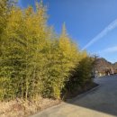 인도양펜션 이미지