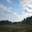 태고목장 | [12.15~12.17] 생애 첫 제주도 탐방기