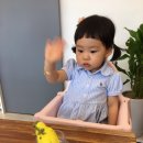 리프패럿진주점 | 진주 리프패럿/ 진주 앵무새카페 후기