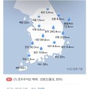 자연재해 (거의) 없었던 충북 청주 지금 난리난 이유..jpg 이미지