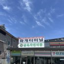 요리하는 아빠 - 하동군 | 하동맛집)벚꽃경양식 요리하는 아빠 내돈내산 후기!