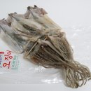 울진오징어사랑마을영어조합법인 이미지