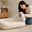 편백힐링스토리 | 인공 향에 지쳤다면? 천연 편백오일 3% 담은 뿜뿜편백 옷장탈취제 & 차량용탈취제 솔직후기