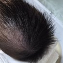 버블앤 | 아기바디샴푸 몽디에스 신생아바스앤샴푸 목욕시간 줄여준 버블 타입 후기