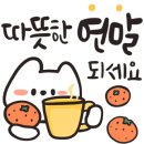 안녕꽃 - 당진시 당진시장남길 96 | 안녕꽃