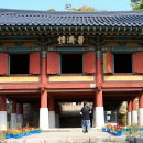 강진-21 이미지