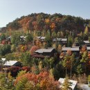 리조트단란주점 네이버블로그
