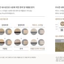 수원-0770 이미지