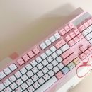 [엠스톤 gv10] 저소음 갈축 후기