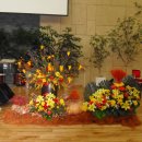 마르띠노 이미지