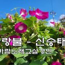 사랑불 신승태 달서실버문화센타 노래강민 이미지