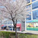 영동농협 하나로마트청계산역점 이미지