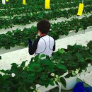 (주)비에스팜 이미지