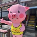 대지 | 수원 야장 맛집 대지안집 행궁본점 찐솔직후기ㅣ내돈내산